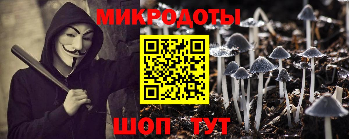 Псилоцибиновые грибы Psilocybine cubensis  Вход с VPN  Владимир  Галлюциногенные грибы MAGIC MUSHROOMS 